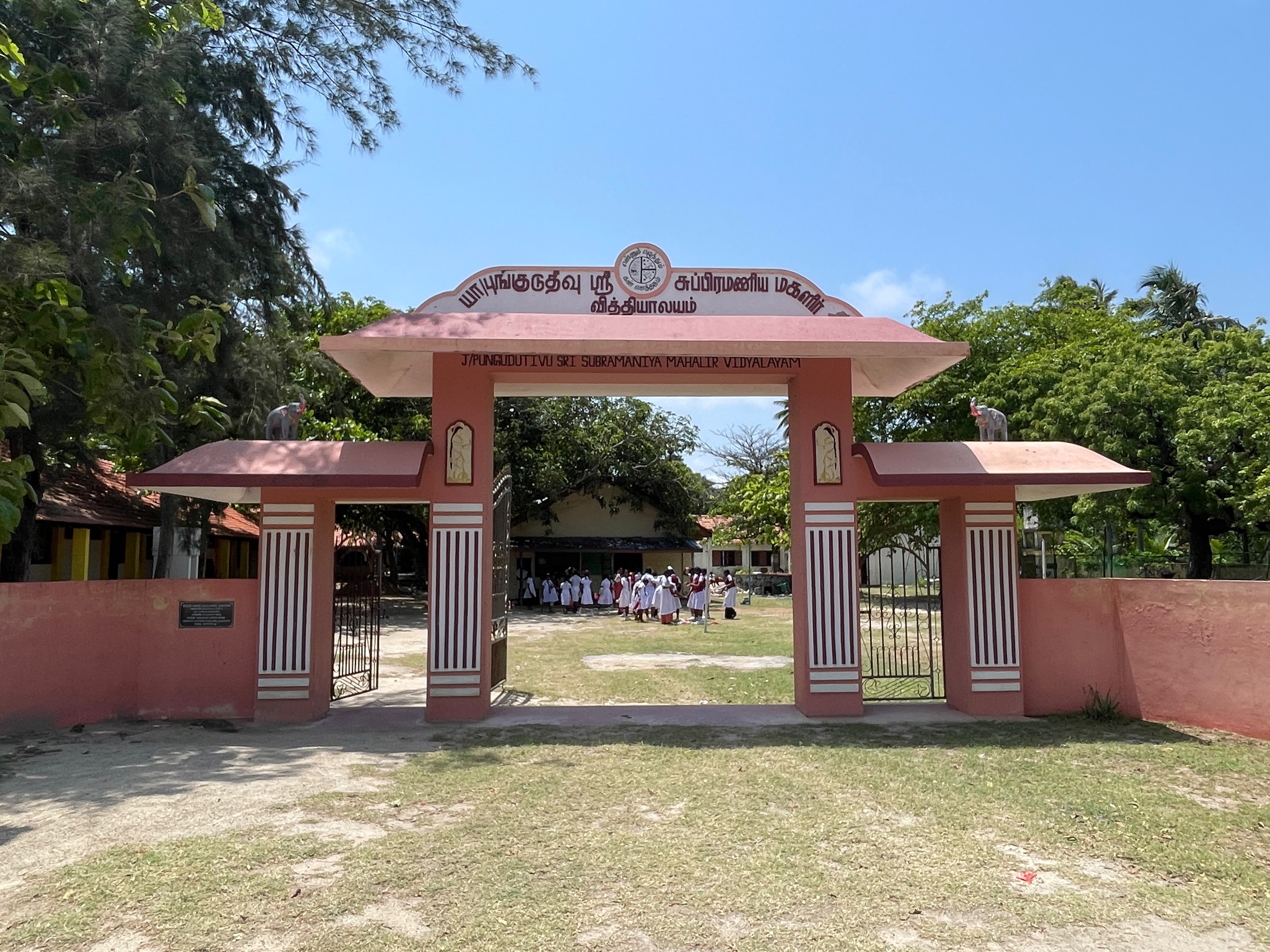 School Pictures and Events